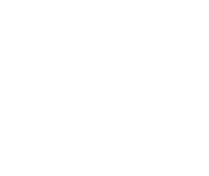 Рус-советники